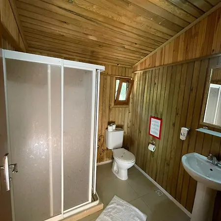 Tree 3* Фаралия