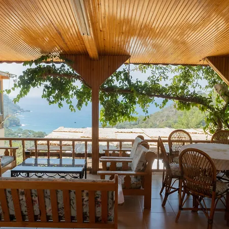 فندق Tree فاراليا