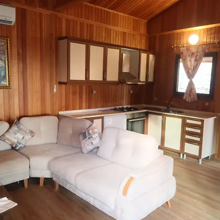 Отель Tree Фаралия