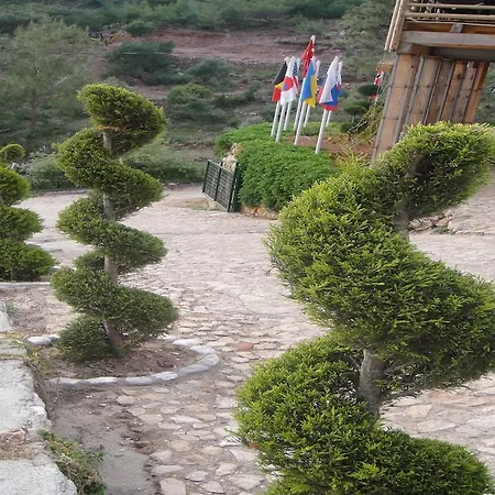 فندق Tree فاراليا