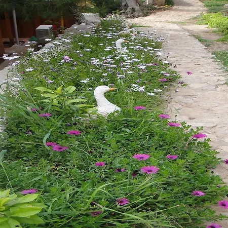 فندق Tree فاراليا