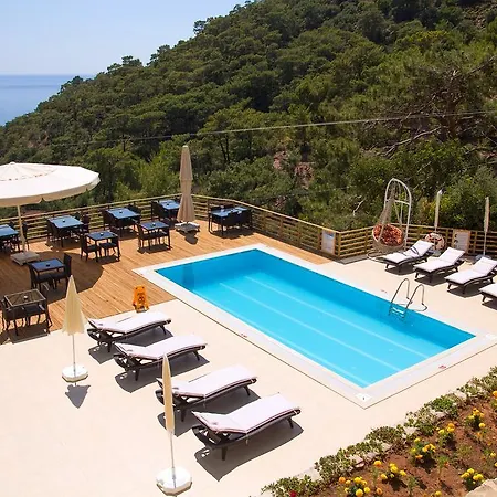 فندق Tree فاراليا