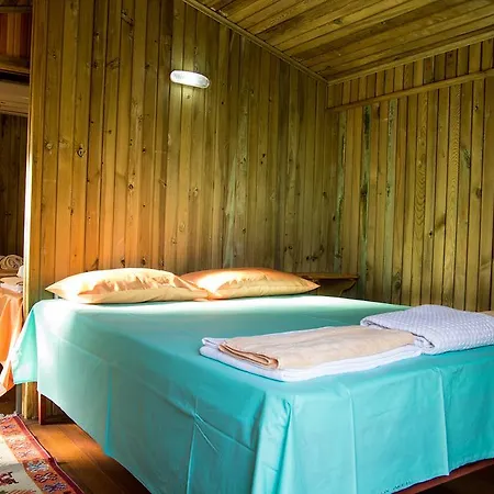 Отель Tree Фаралия