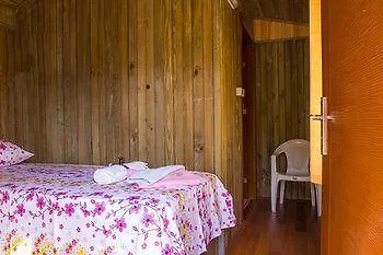 Tree Hotel