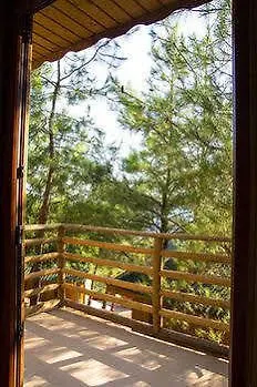 Tree 3* Faralya
