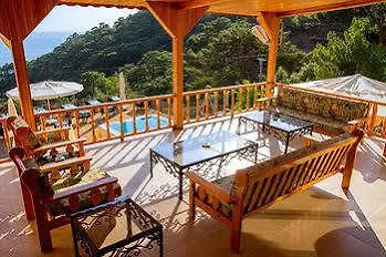 Tree 3* Фаралия