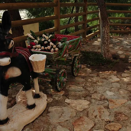 מלון Tree 3*