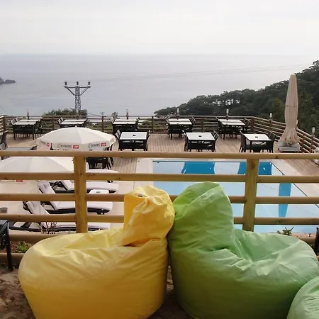 Szálloda Tree Faralya