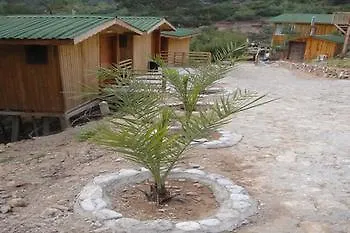 Tree Hotel